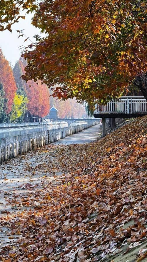 风光正好！来天门邂逅冬日暖阳