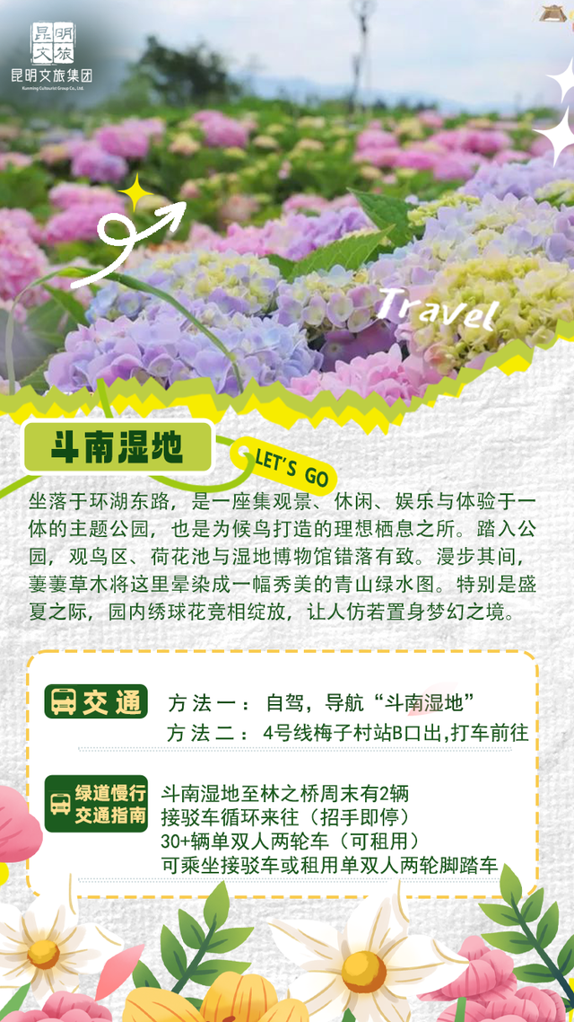 爆爆爆！滇池绿道成为这个暑期最火骑行IP