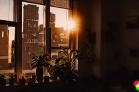 Sora为何出道即碾压主流AI视频模型：文生视频最长纪录，对世界有全面认知图片