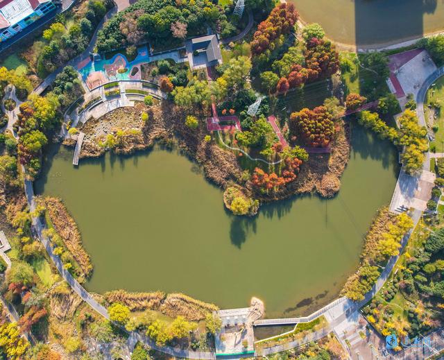 图说丨推窗见绿 四季赏景