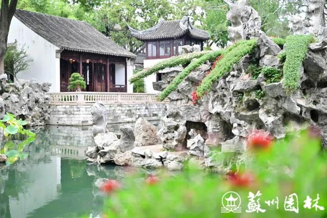 苏州的秋天，给你点“颜色”看看！