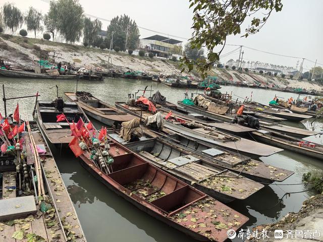 庆祝第26个中国记者节 “发现美好泰安”集中采风活动走进东平