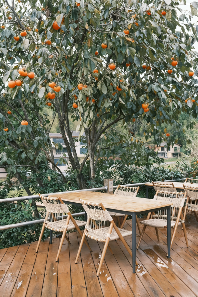 安纳班纳·泰宁 | 在时间的褶皱里，呼吸一场丹霞旧梦