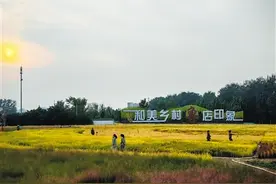 焕发乡村经济活力，乡村规划师大有可为图片