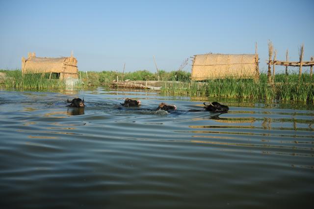 中东行记｜在伊拉克感受世界遗产的魅力