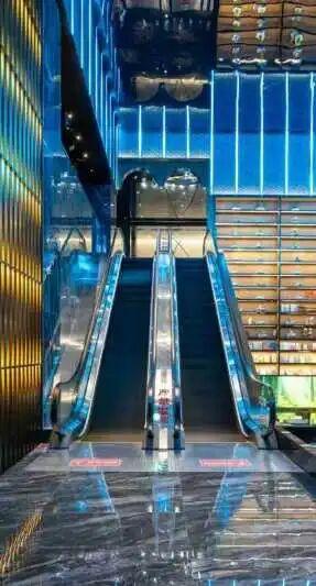 把冬天调成暖色系！松山湖落羽杉红了，温泉冒泡了，火锅沸腾了～