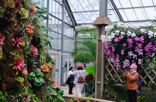 气温直冲20℃！第一波赏花的人已出发