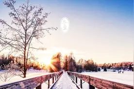 最是人间冬至情图片