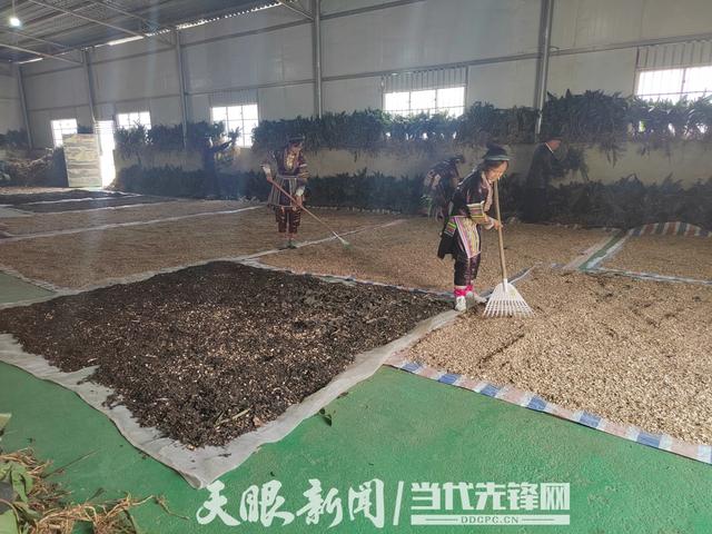 瑶族传统技艺掀体验热：从江瑶族村寨国庆期间一房难求