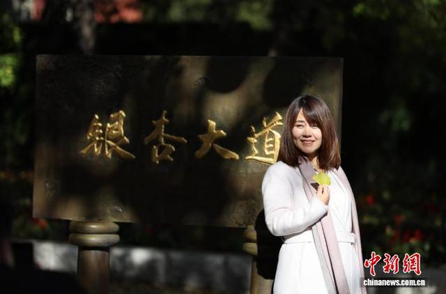 辽宁丹东金色世界的秋日画卷