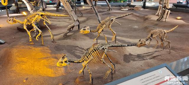 一部手机游甘肃丨刘家峡恐龙馆：传承创新中续写古生物文化传播新篇章