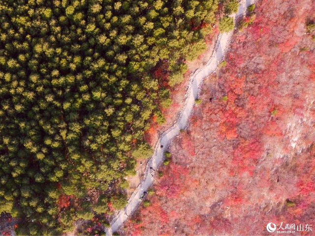 行进中国丨绿道蜿蜒处，山色入城来