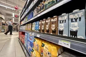 财报解读｜一季报植物蛋白饮料股业绩双位数下滑，为何燕麦奶除外图片