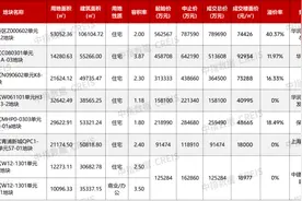 7宗地卖了230亿元！上海七批次土拍火爆开启，新杨思地块刷新溢价率纪录图片