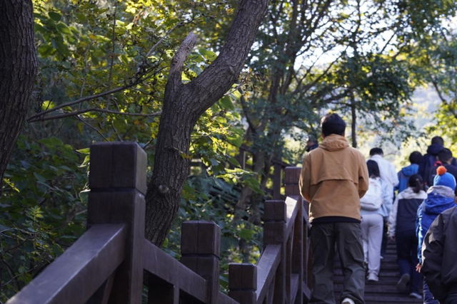 11月社群活动上新！桌游、交友嗨不停，下期活动更精彩～