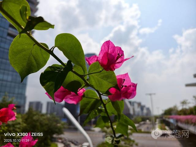 vivo X300评测：小直屏旗舰，带来Pro级体验