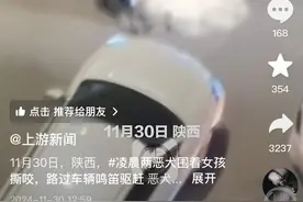 两只大型犬围咬一女子 知情者：狗主人已接受调查图片