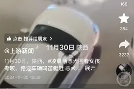 两只大型犬围咬一女子 知情者：狗主人已接受调查图片