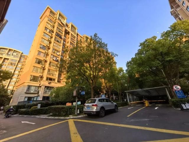 早安，长宁丨黄金城道“杏”定美景来啦～