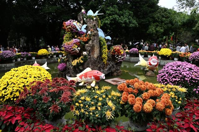 福建福州：4万余盆菊花展出