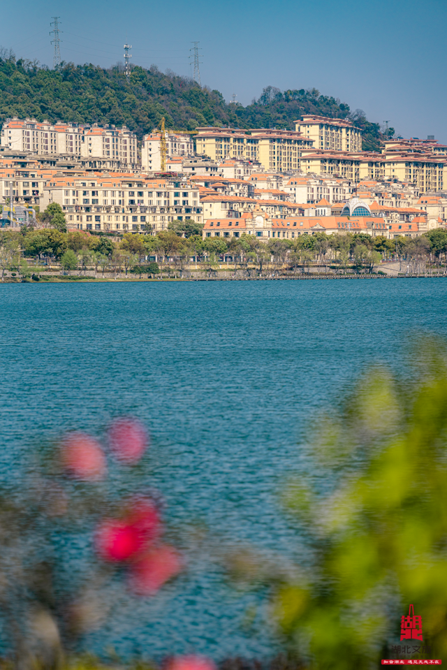 短短短短短……且赏且珍惜