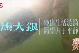 年度热搜里的TA③丨“砸车侠”焦大银：我不是英雄图片