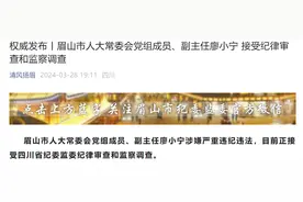 涉嫌严重违纪违法！眉山市人大常委会党组成员、副主任廖小宁被查图片