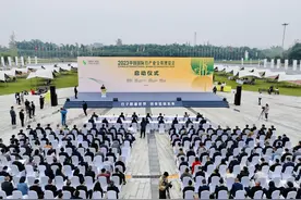 2023中国国际竹产业交易博览会在眉山青神开幕图片