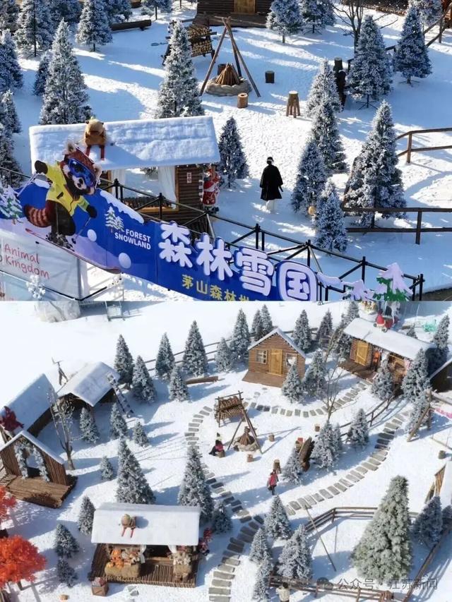 一文读懂，江苏玩雪都去哪儿