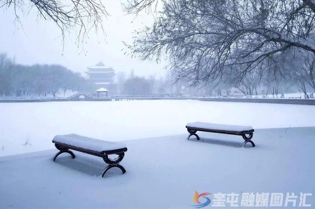2026在奎屯丨落雪染冬色 烟火暖人心 知己常相伴