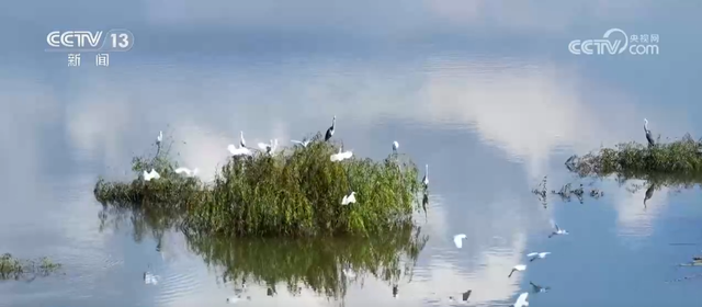 特色赏秋游热潮澎湃 “文旅+”新场景新业态激发“秋日经济”活力