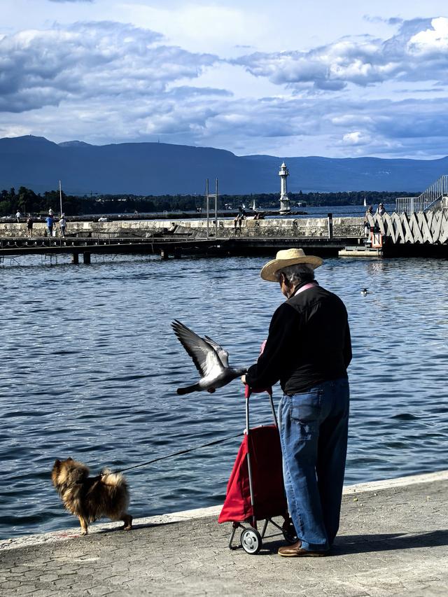 晚潮｜日内瓦湖上的时间寓言