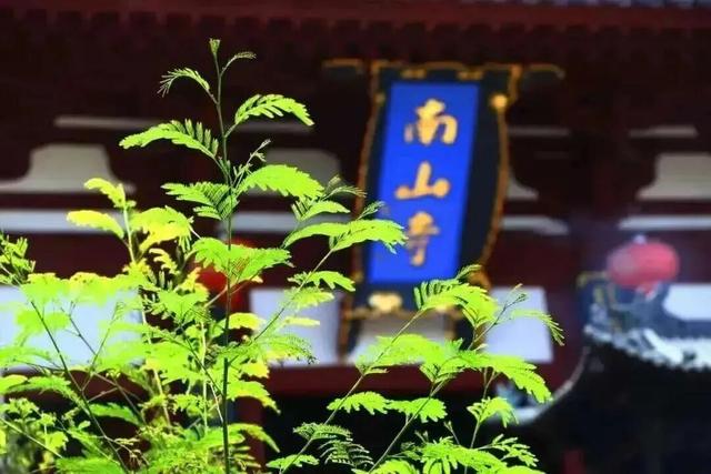 三亚，“老”出片了