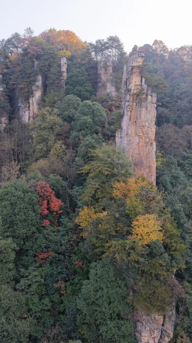 摄影故事 | 霞染秋峰入镜来——世界自然遗产武陵源巡礼手记