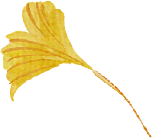 别再问了！洛阳秋色天花板，就藏在这里→