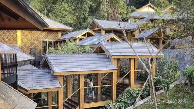 世界遗产景迈山的“暖冬”：茶香弥漫 旅游升温