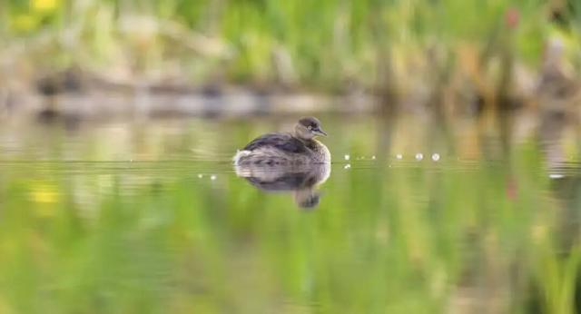 无锡最新追“星”指南，速收藏！