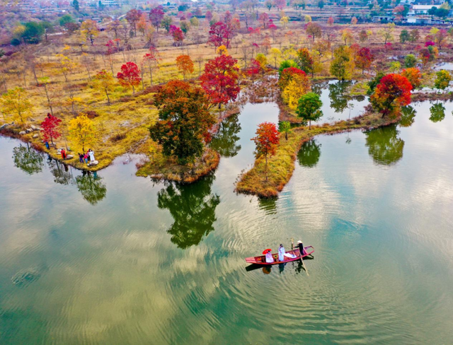 秋天来罗田，好“柿”正发生！