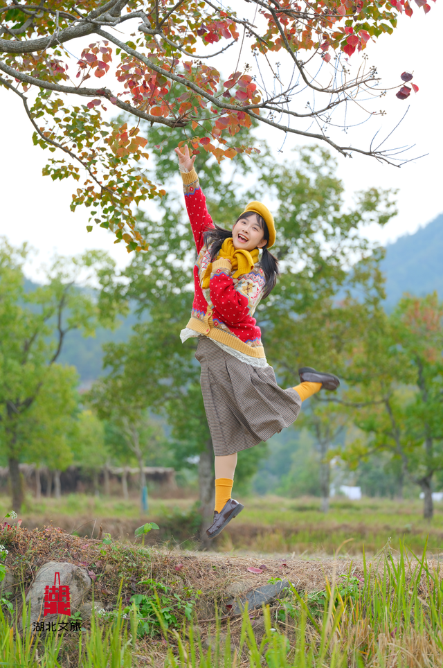 秋天来罗田，好“柿”正发生！