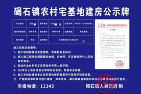 陆丰市碣石镇：坚持疏堵结合，147户报建农户获批建房资格图片