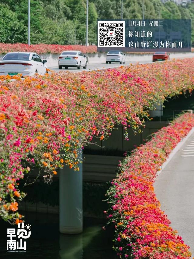 限时消费券，10:00开抢！