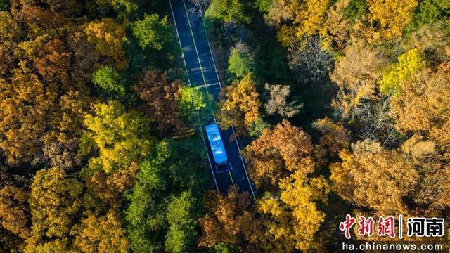 河南洛阳：白云山秋景如画