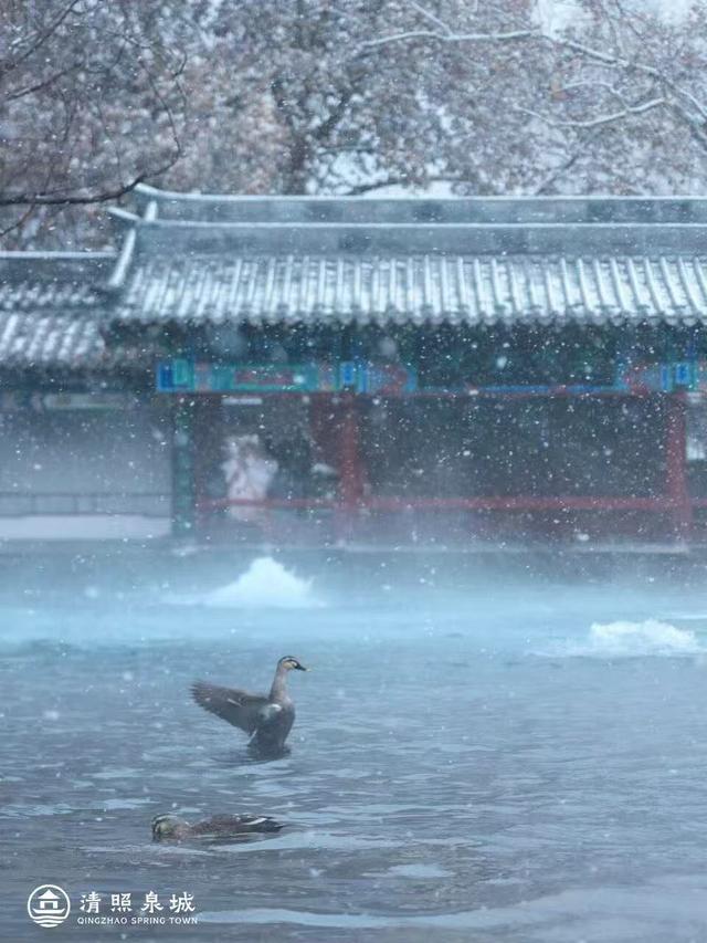 一城山海，一城泉韵！清照泉城赴青岛携手开启双城“泉式”度假新篇