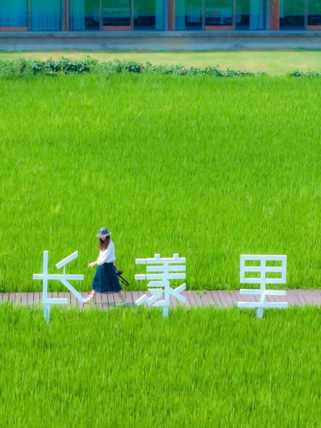 吴江“处暑盲盒”，今日开箱！
