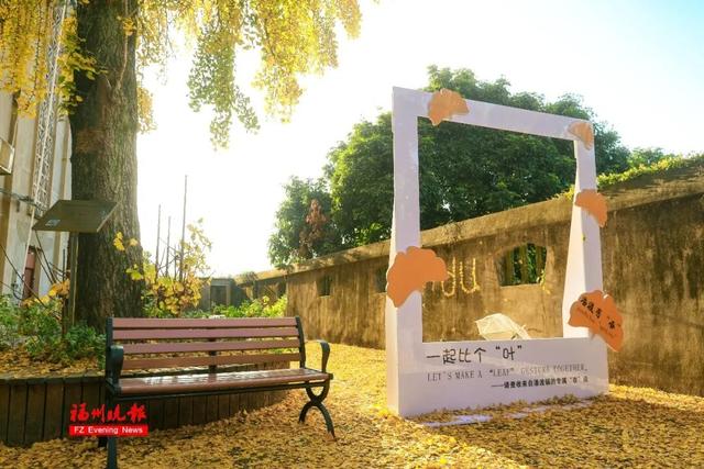 黄了！红了！福州大面积上新！颜值高峰！