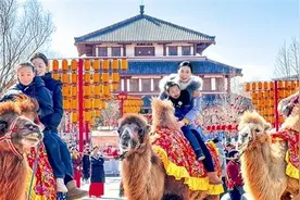 2025年春节三门峡市旅游总收入11.313亿元图片