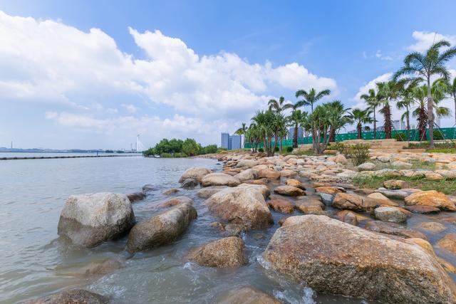 原生态、可亲海！滨海湾这条海岸线示范段上新→