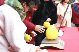 浪漫校园首批红柚开采！他来了，她来了，他们都来了！图片