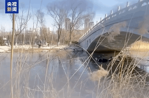 “你下去行吗？” “行不行我也得下去！	”