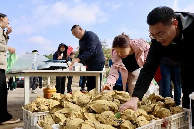 打卡特色民宿、品尝香甜酥梨……柳埠街道成功举办全民健身徒步大赛